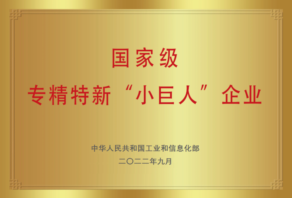 國(guó)家級(jí)專(zhuān)精特新小巨人企業(yè)