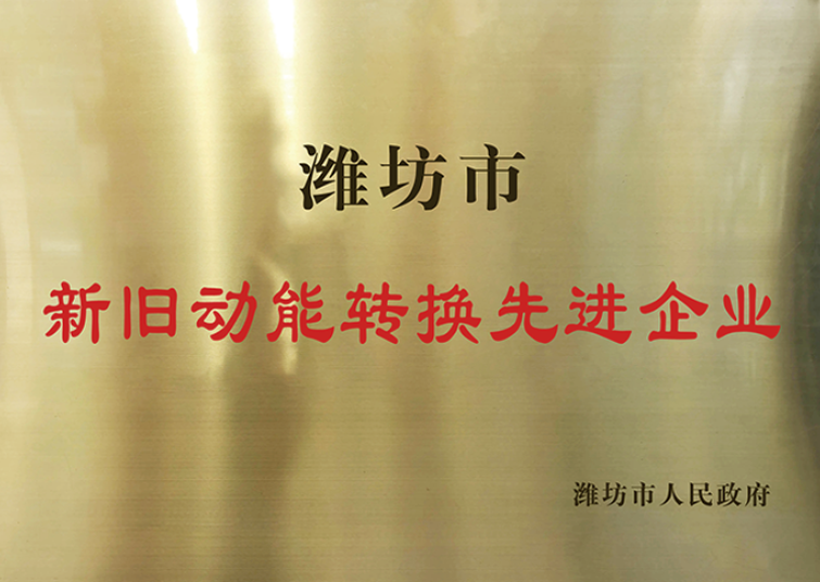 濰坊市新舊動(dòng)能轉(zhuǎn)換先進(jìn)企業(yè)